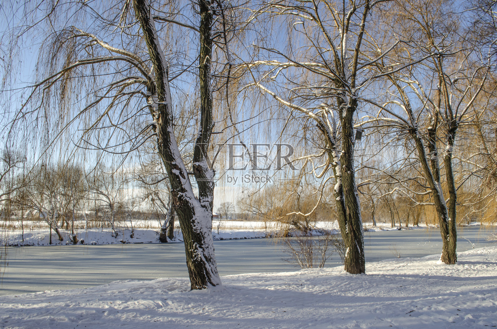 冬天的风景照片摄影图片