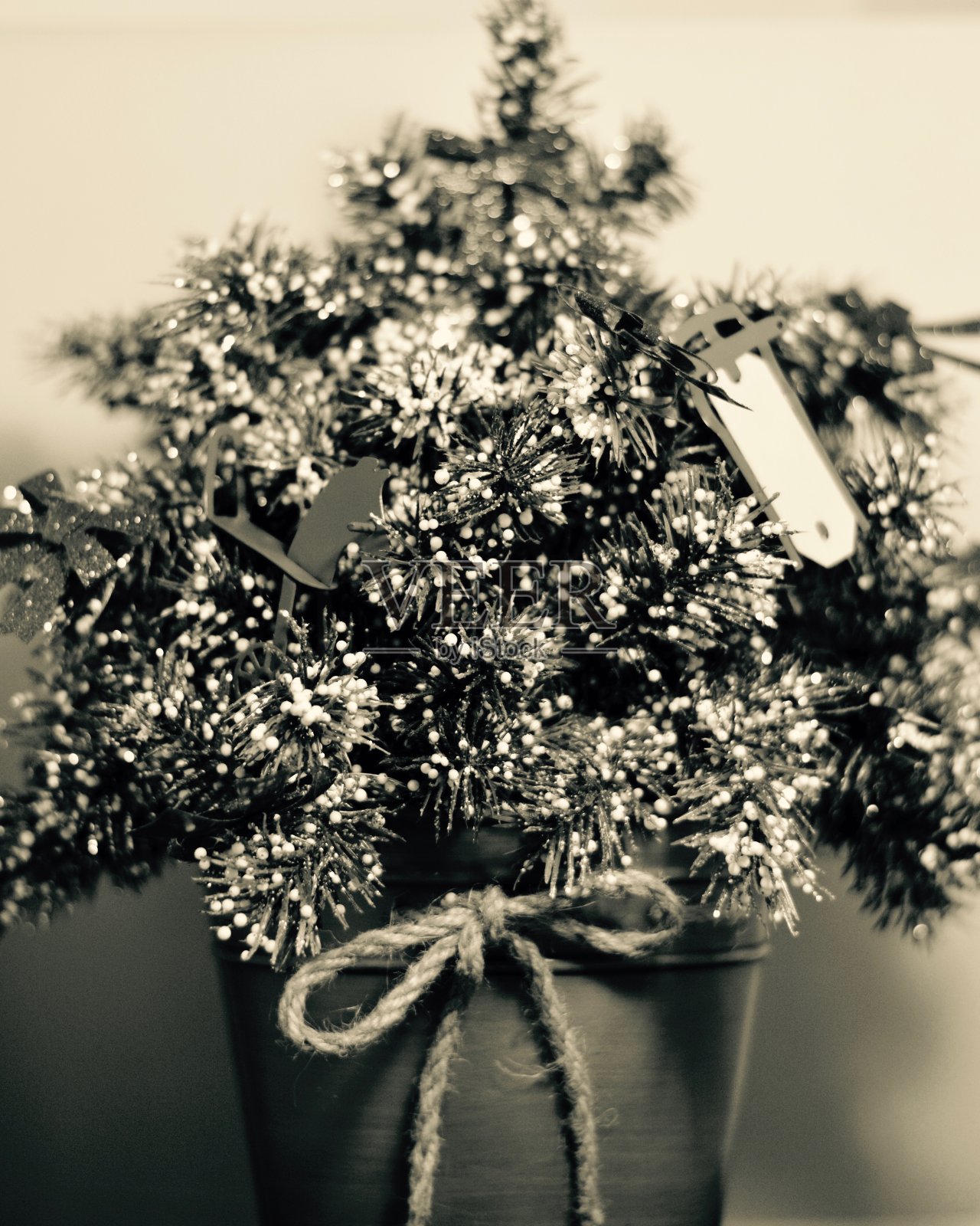 旧时尚圣诞节照片摄影图片