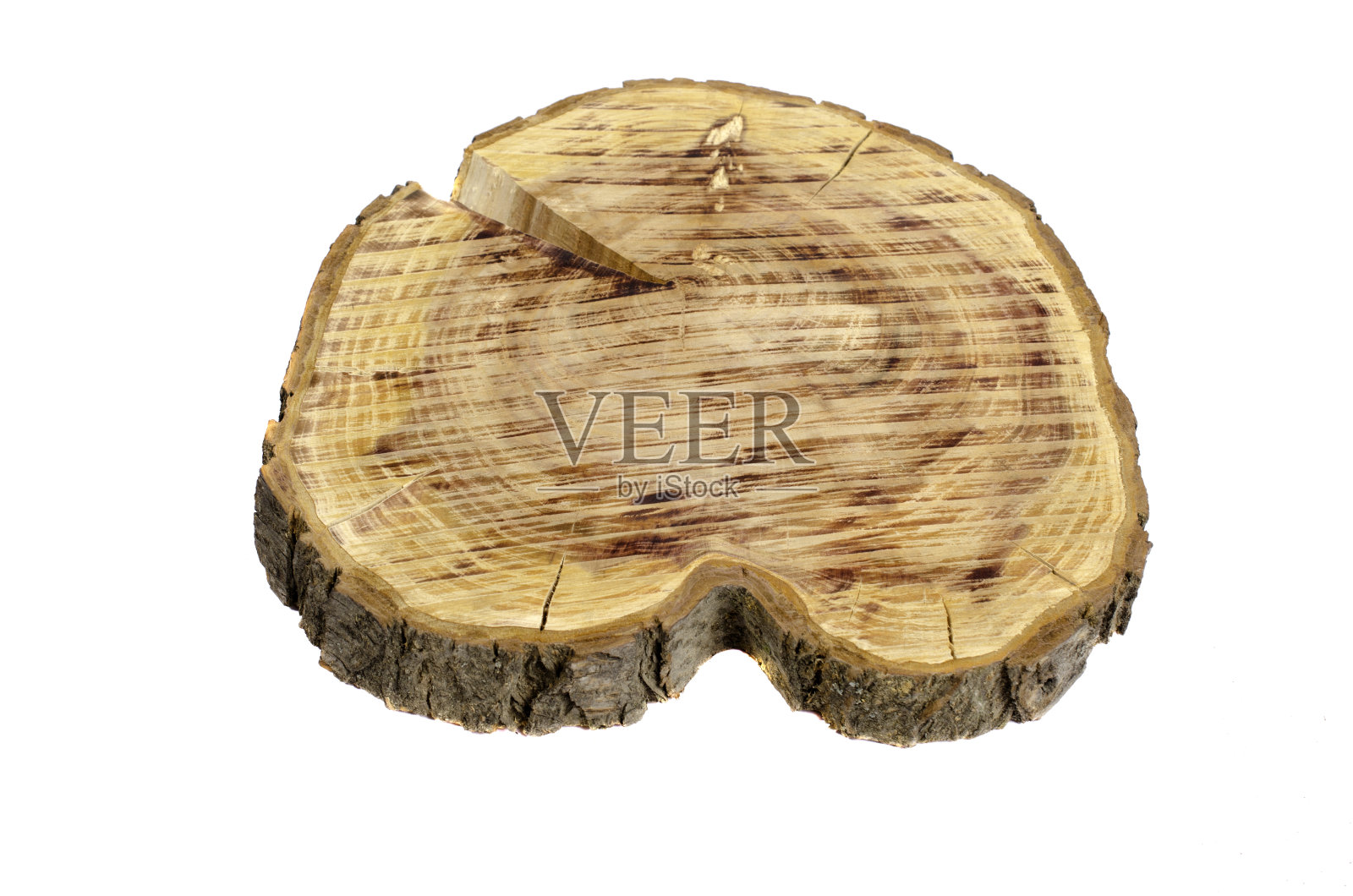 有趣的树干横截面。照片摄影图片