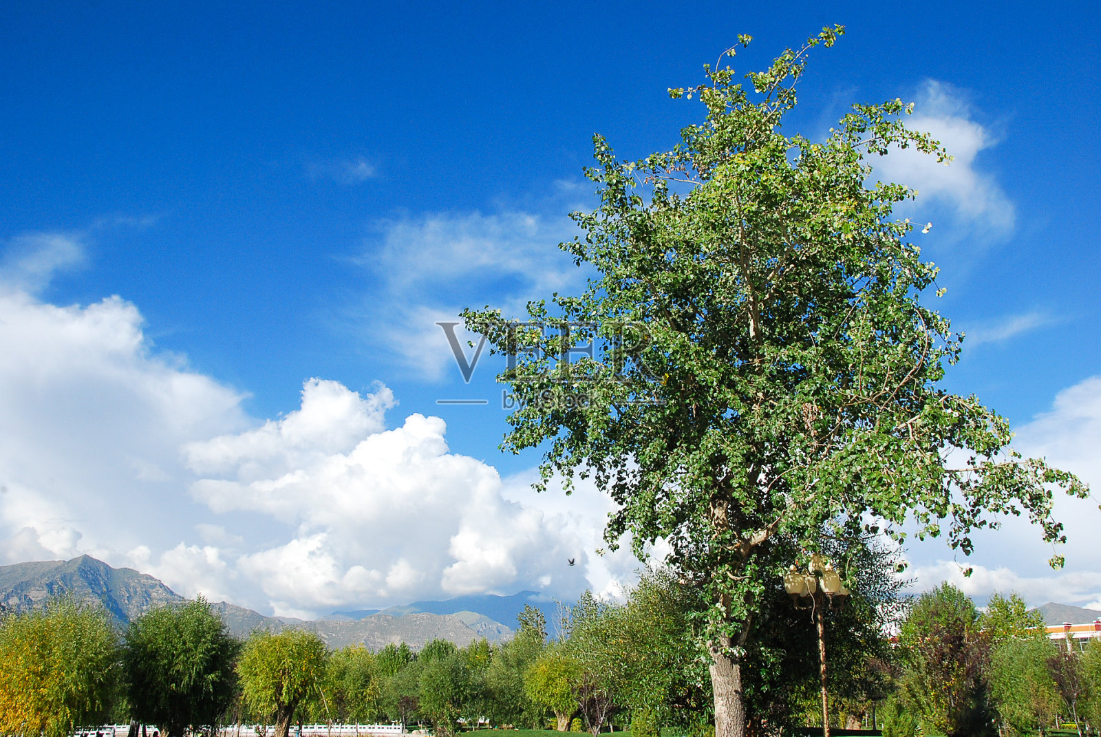 秋高气爽的高原风光照片摄影图片