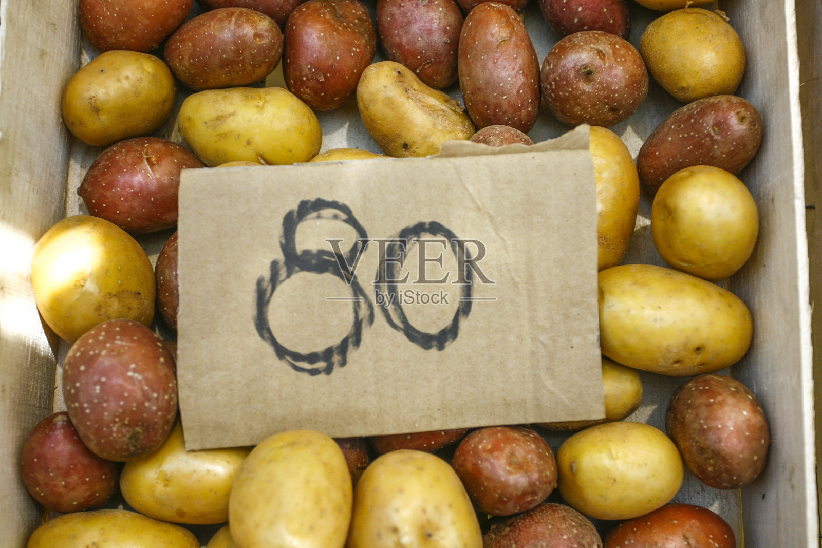 收获的马铃薯块茎不同品种照片摄影图片