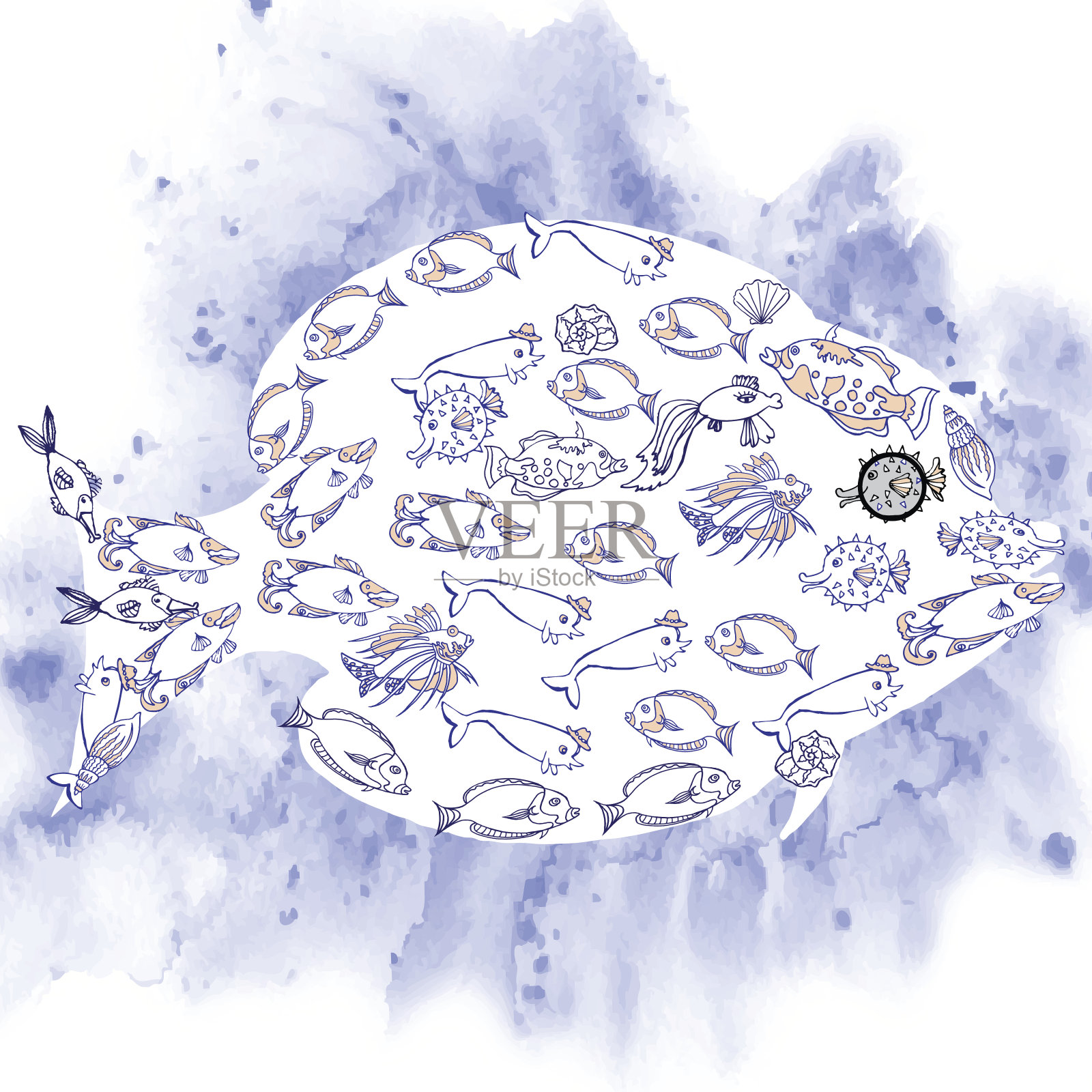 鱼插画图片素材