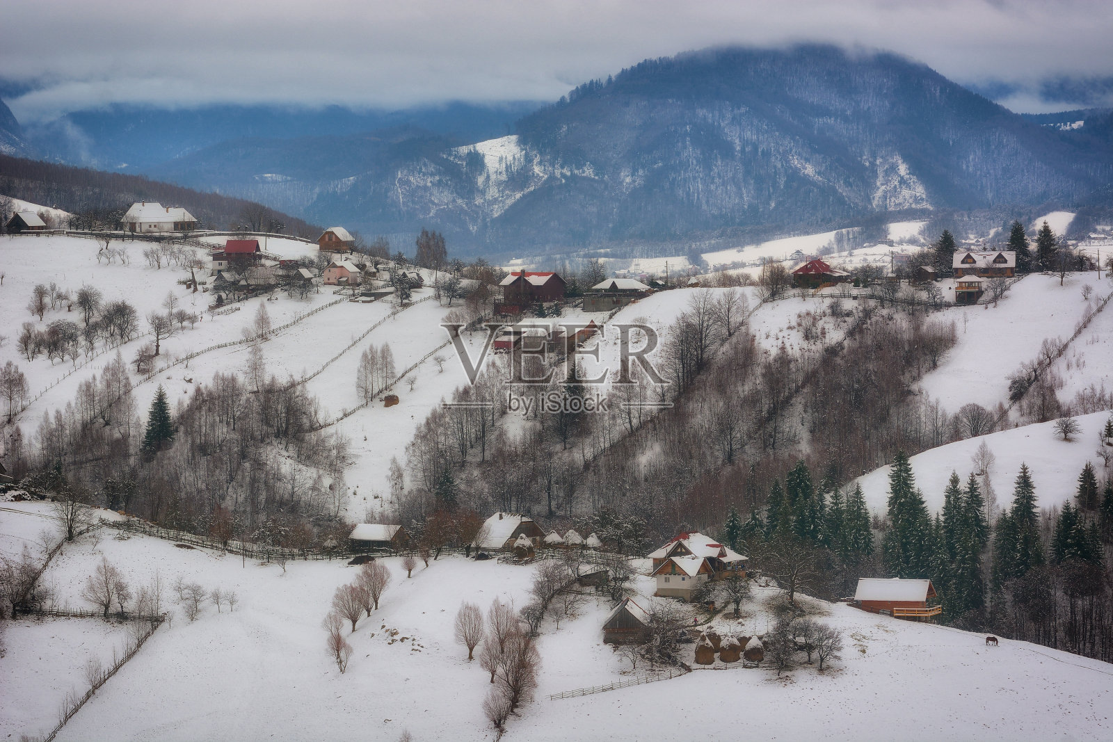 罗马尼亚喀尔巴阡山脉的冬天，阴天。照片摄影图片