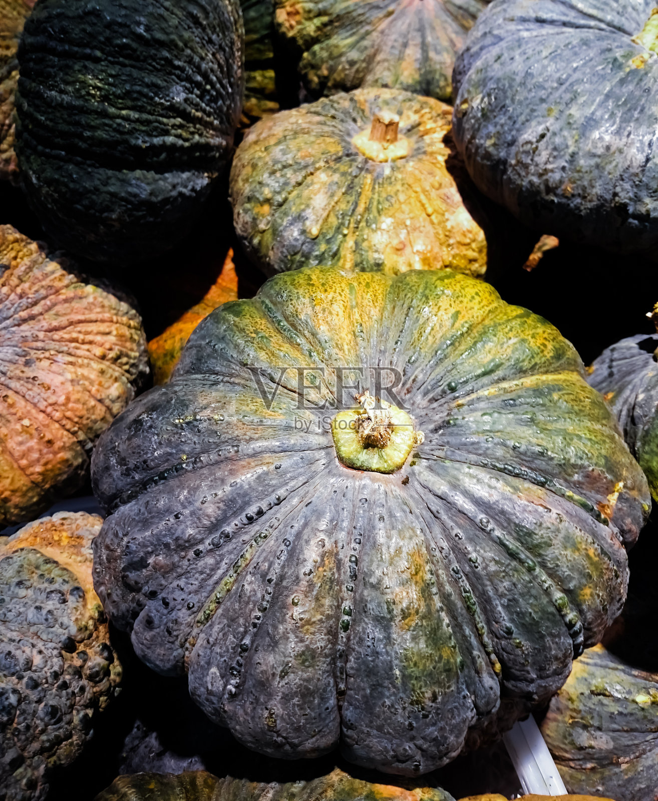 在泰国当地市场出售的南瓜照片摄影图片