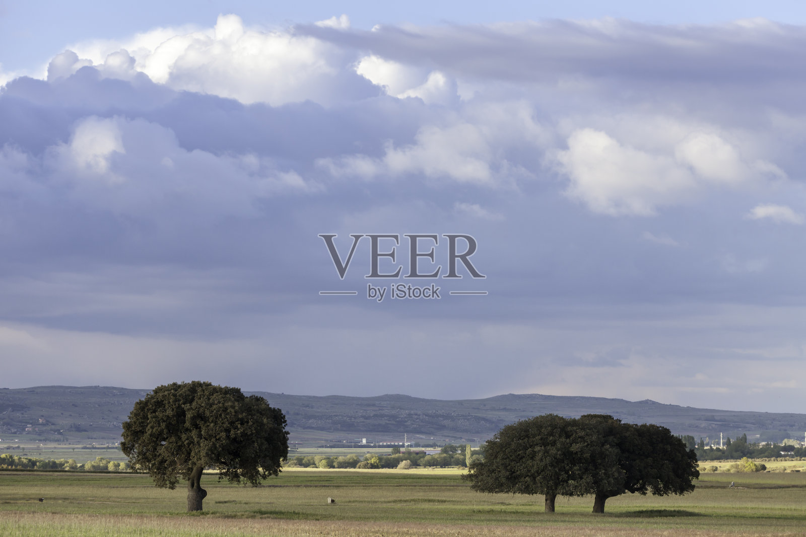 橡树在云照片摄影图片