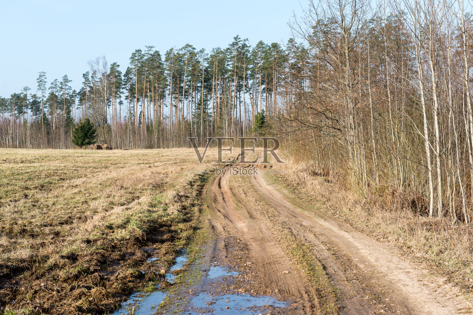 春天空旷的乡间小路照片摄影图片