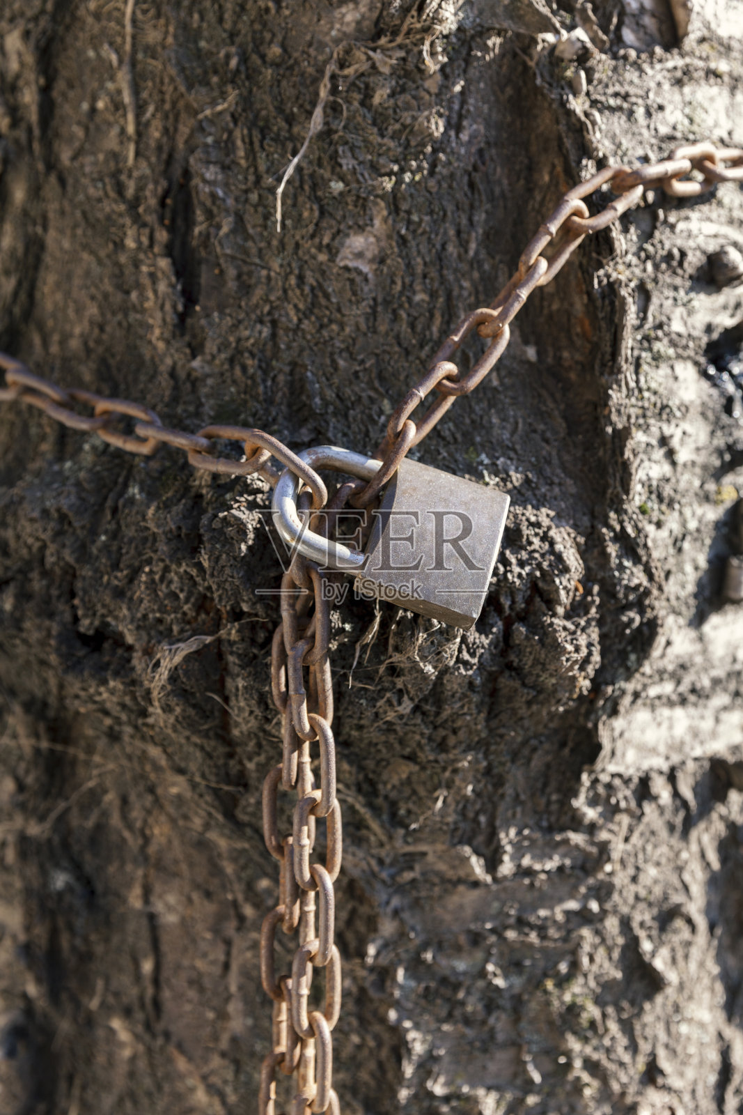 生锈的挂锁和链条照片摄影图片