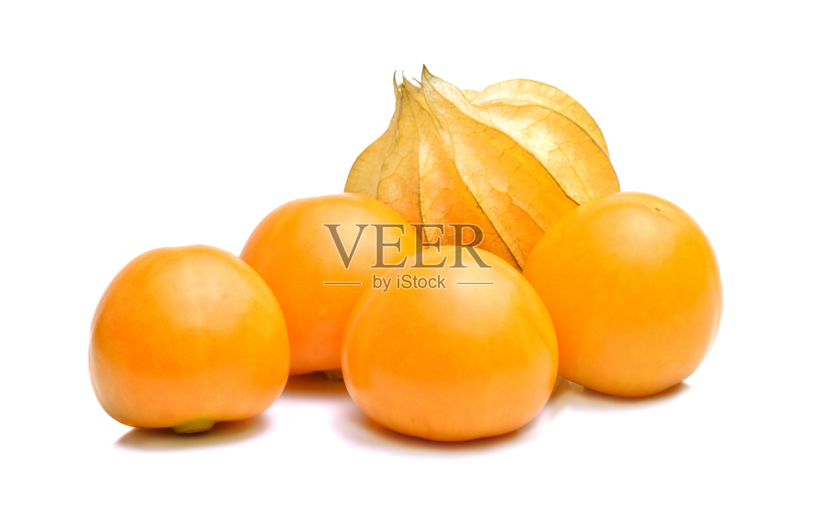 在白色背景上分离的酸浆果照片摄影图片