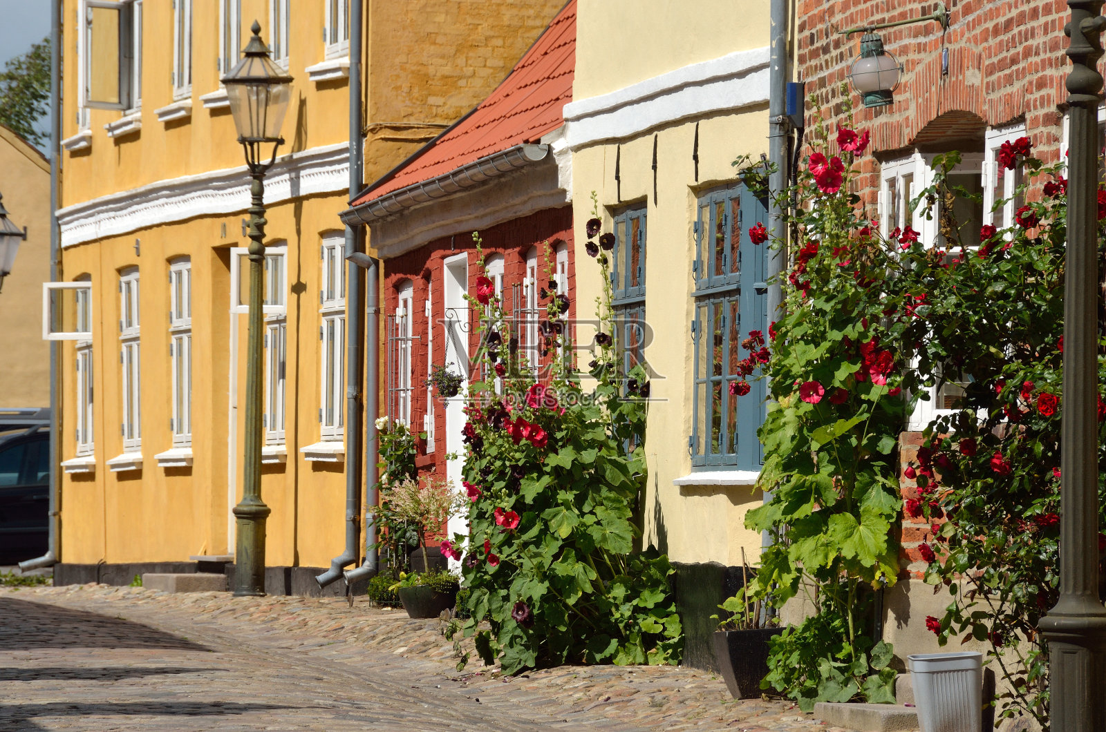 丹麦里贝街照片摄影图片