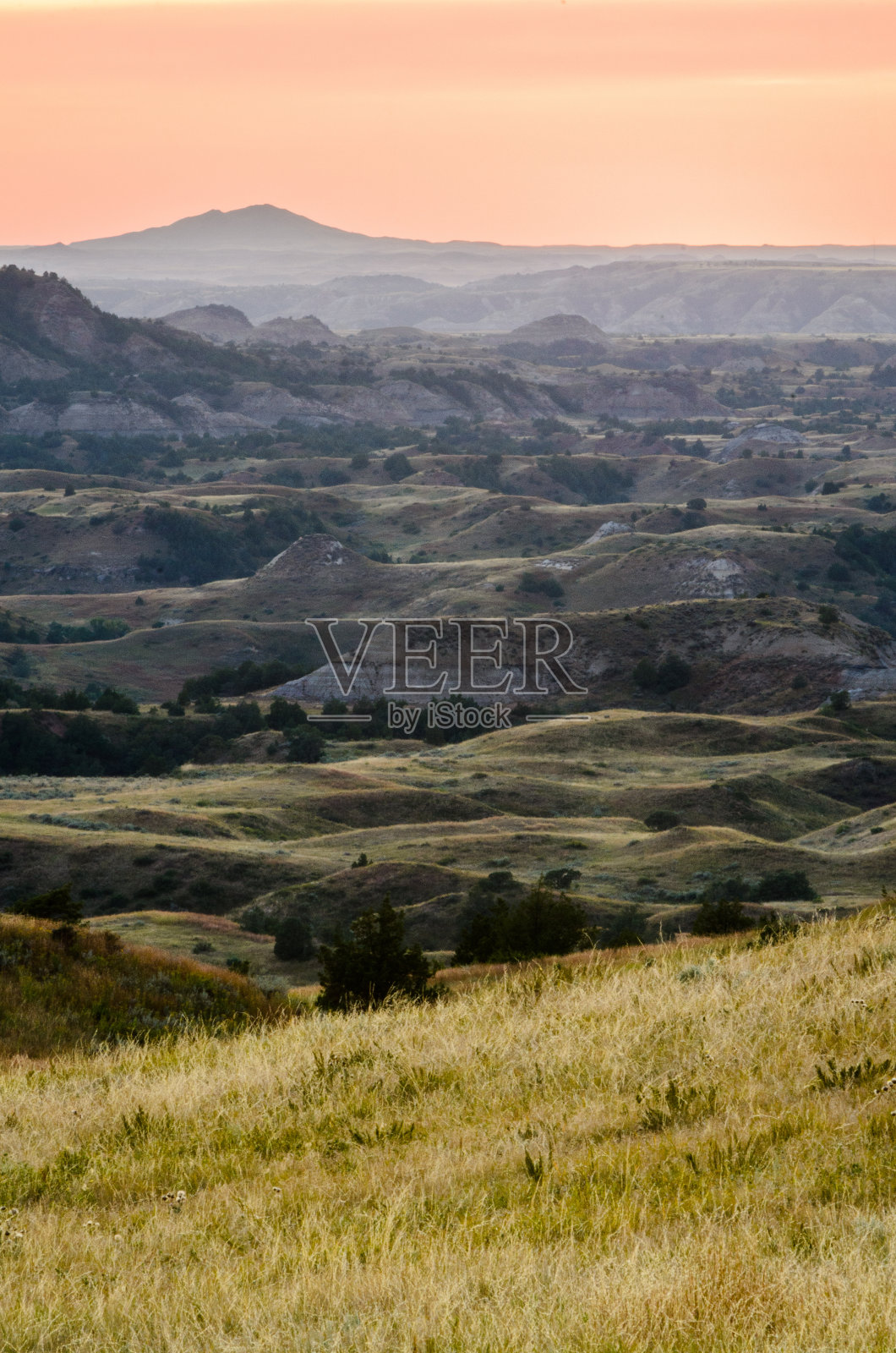 西奥多·罗斯福国家公园，照片摄影图片
