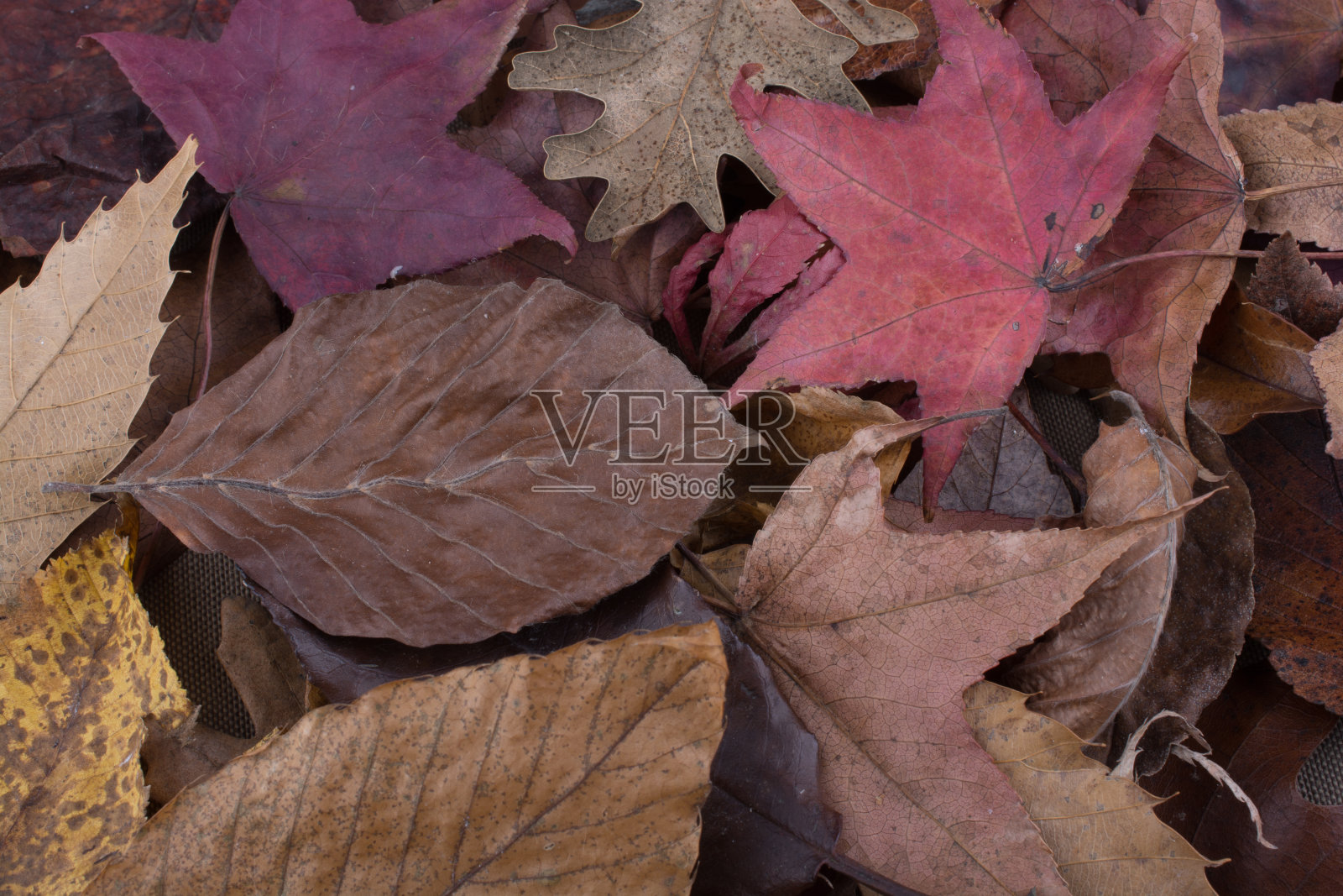 枯叶作为秋天的背景照片摄影图片