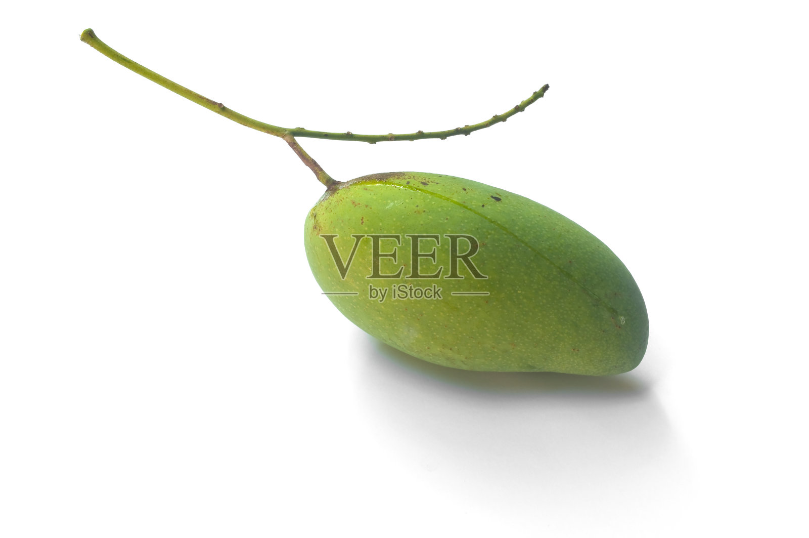 鲜绿的芒果照片摄影图片