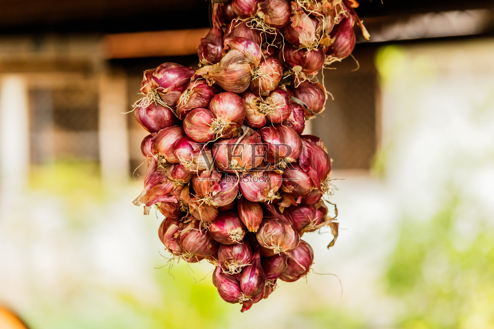 一束葱或红洋葱照片摄影图片