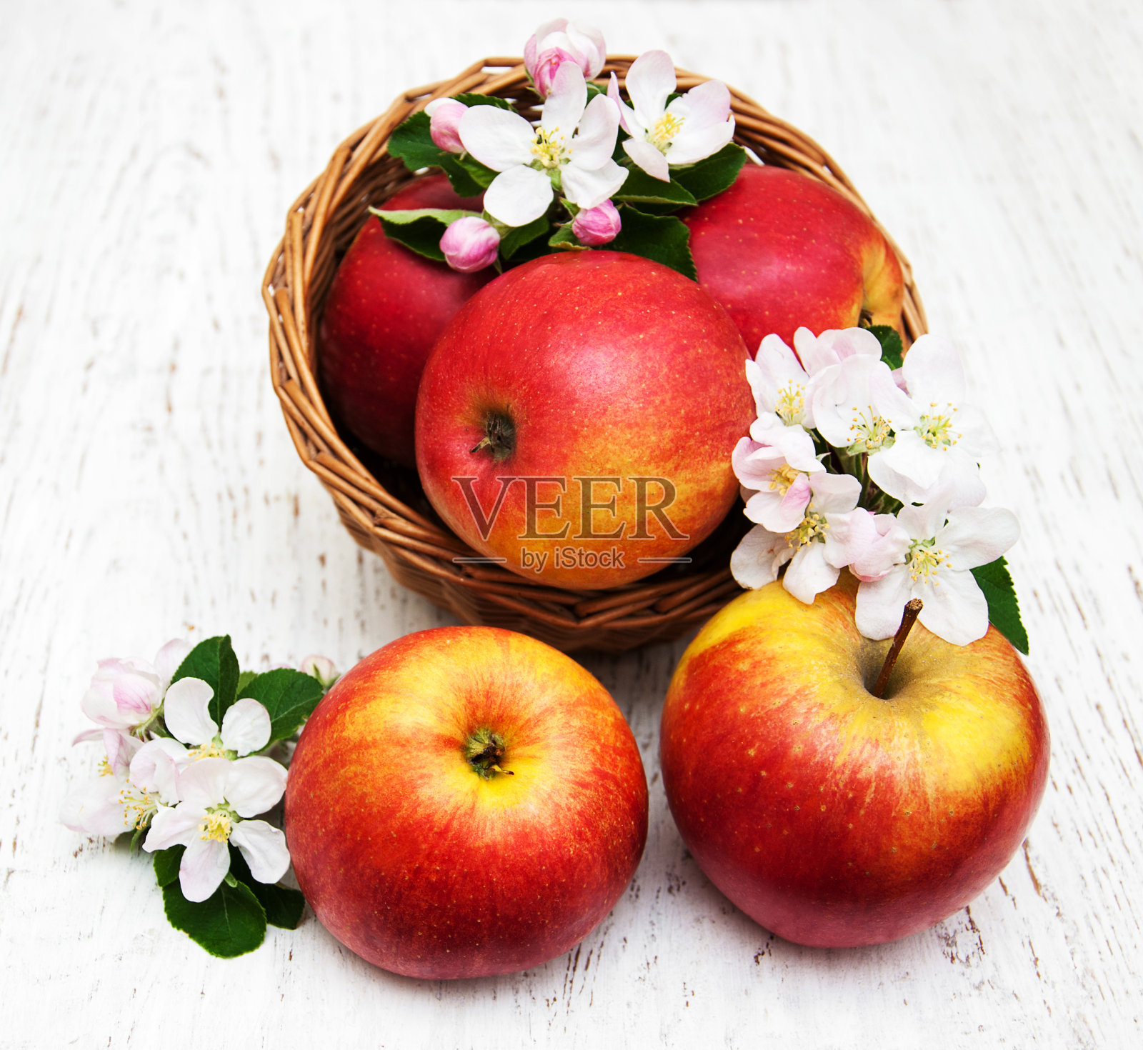 苹果和苹果树开花照片摄影图片