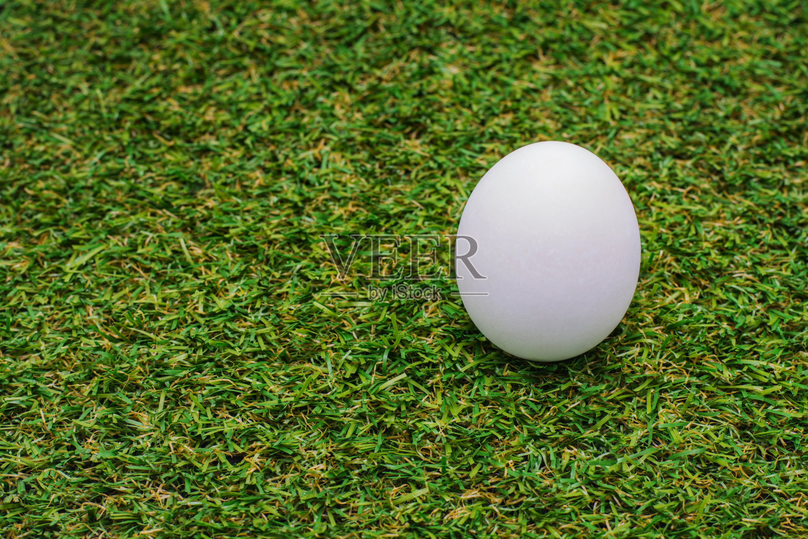 绿色背景下的鸡蛋照片摄影图片