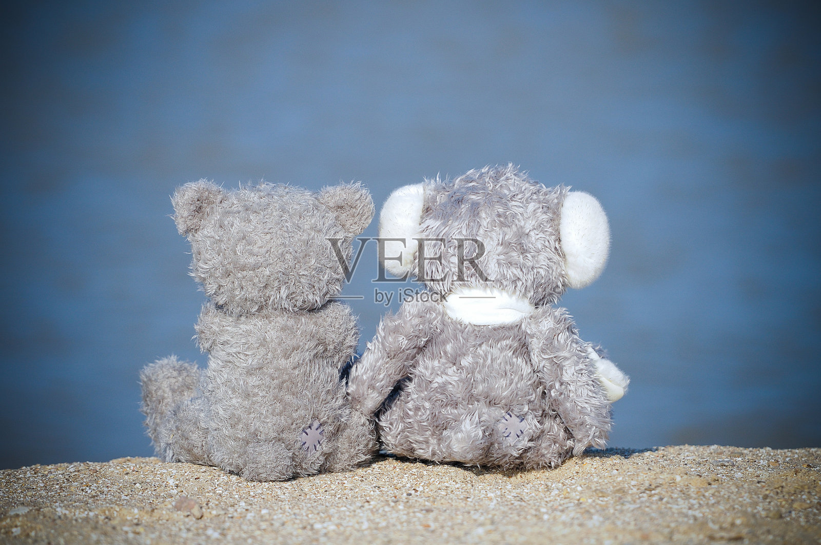 我喜欢海滩上的玩具熊照片摄影图片