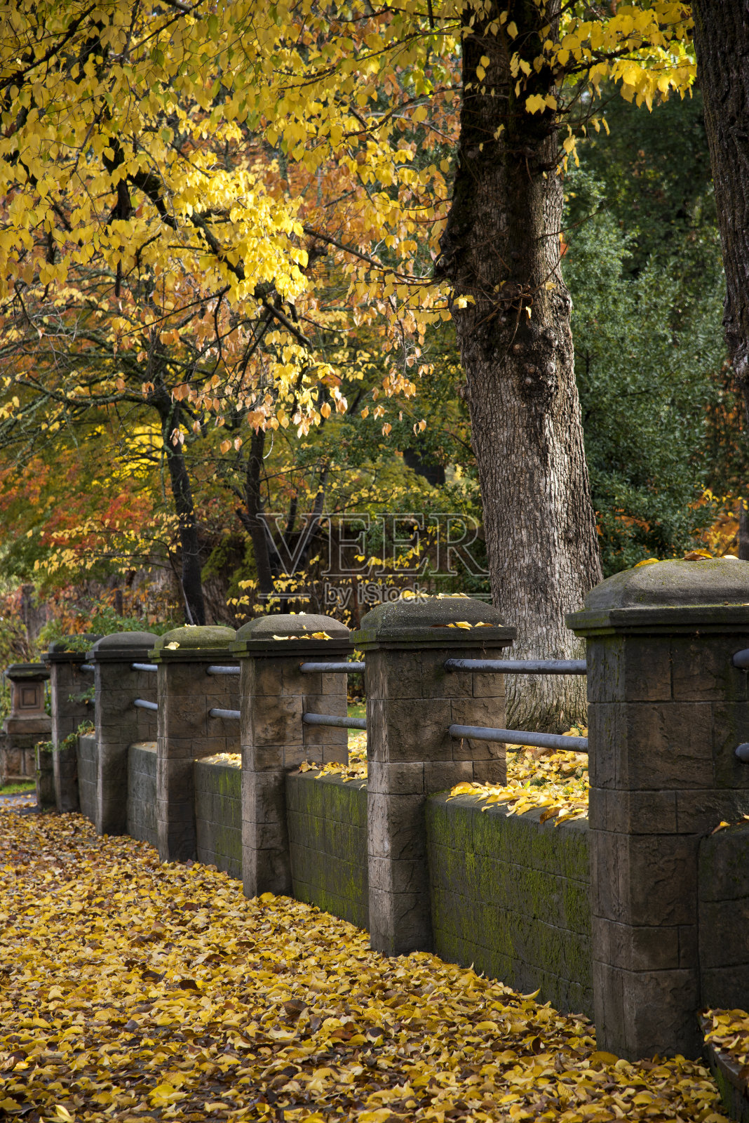 老石头围墙照片摄影图片