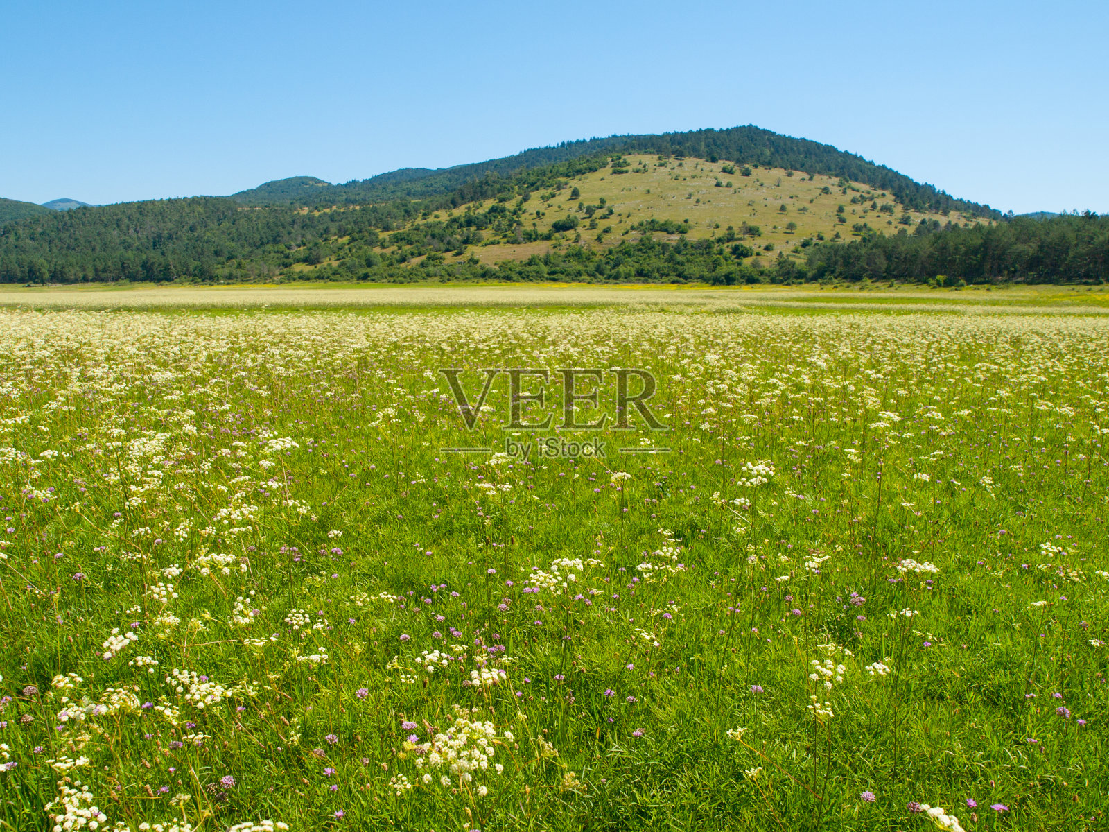 间歇湖Petelinje照片摄影图片