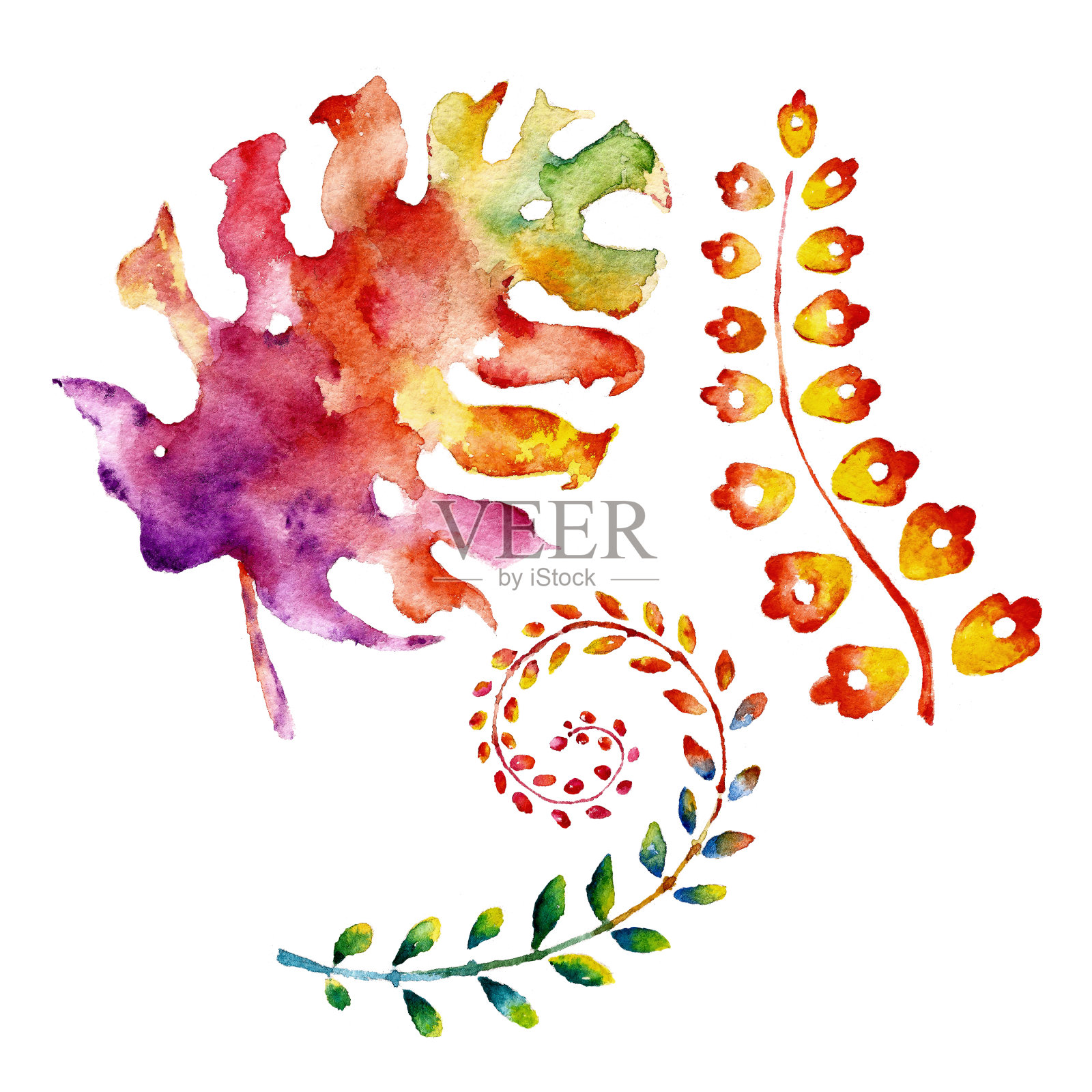 孤立的白色背景与彩色的叶子。水彩插图。插画图片素材