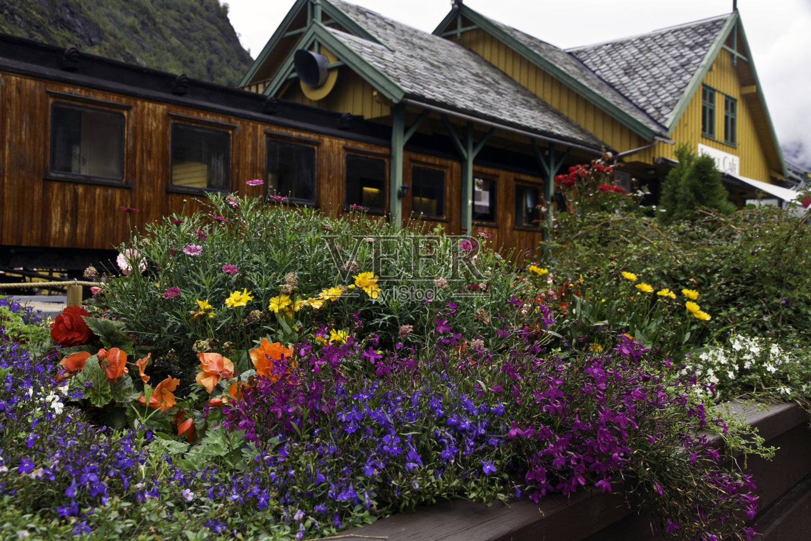 挪威弗拉姆，弗拉姆铁路咖啡馆，门前鲜花照片摄影图片