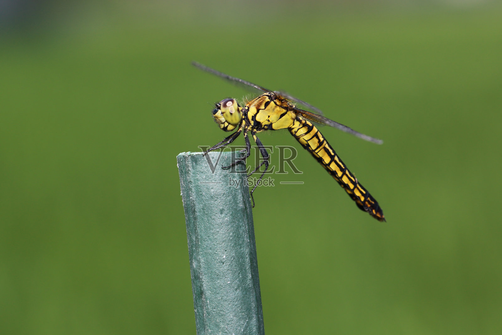 普通的撇油杆照片摄影图片