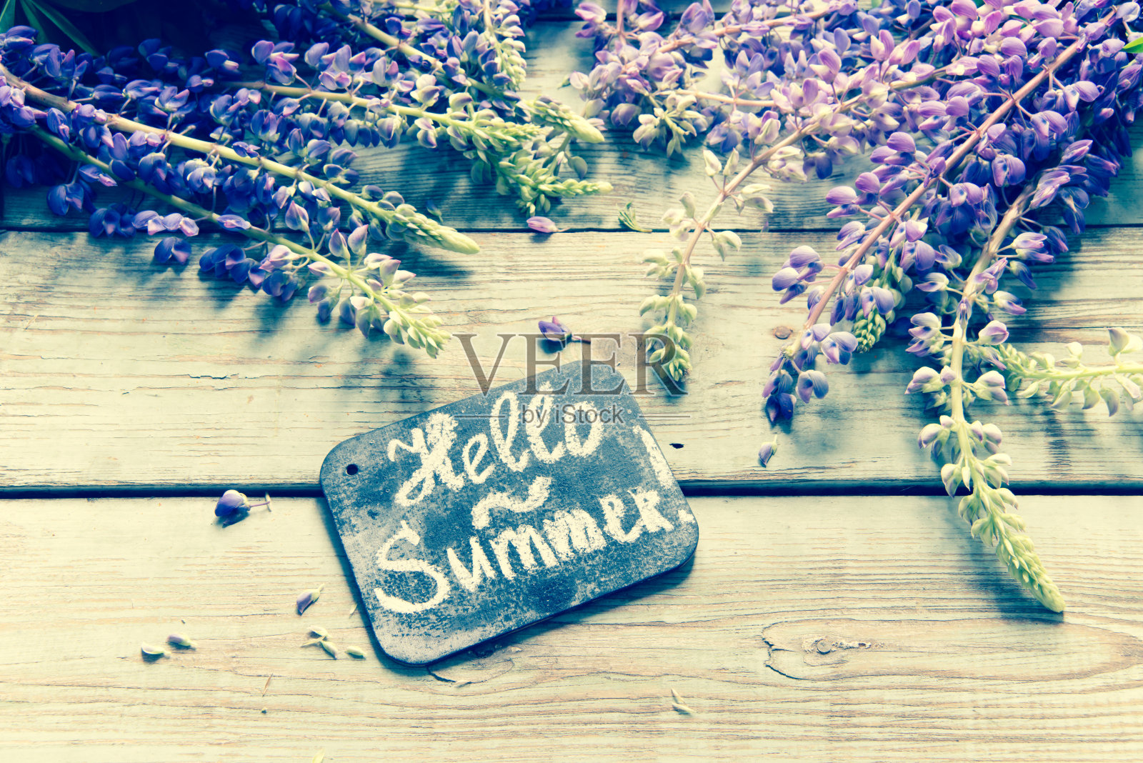 你好，夏天和羽扇花照片摄影图片