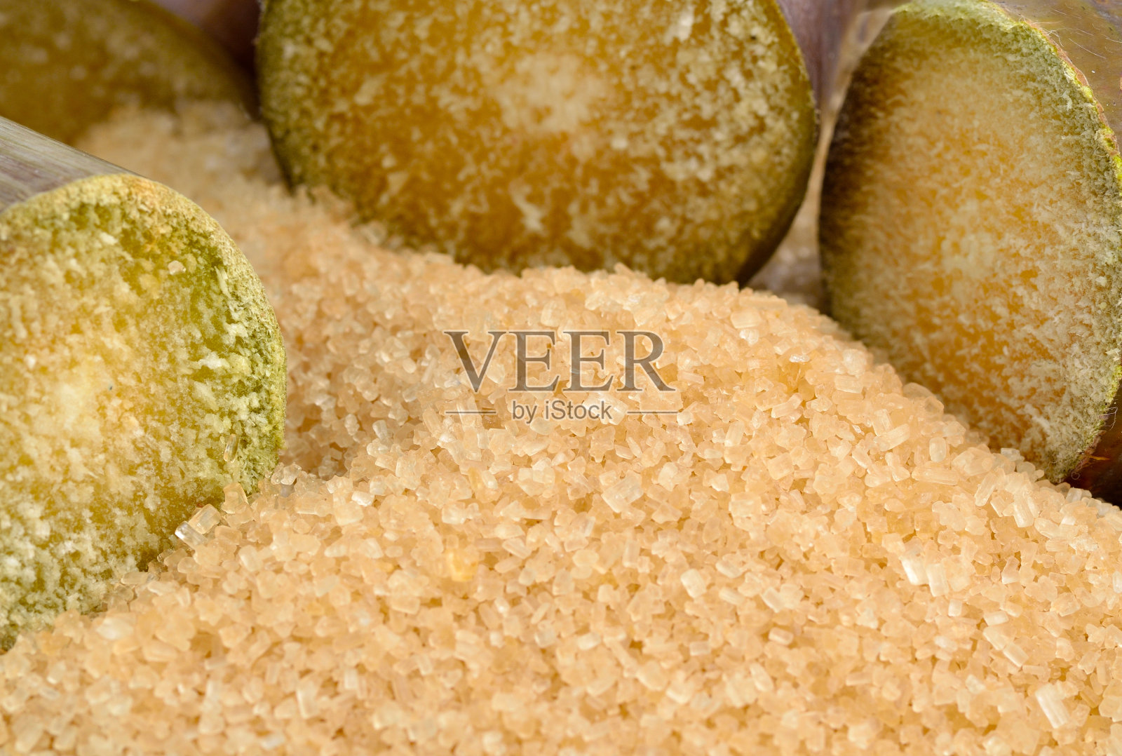 糖业狗照片摄影图片