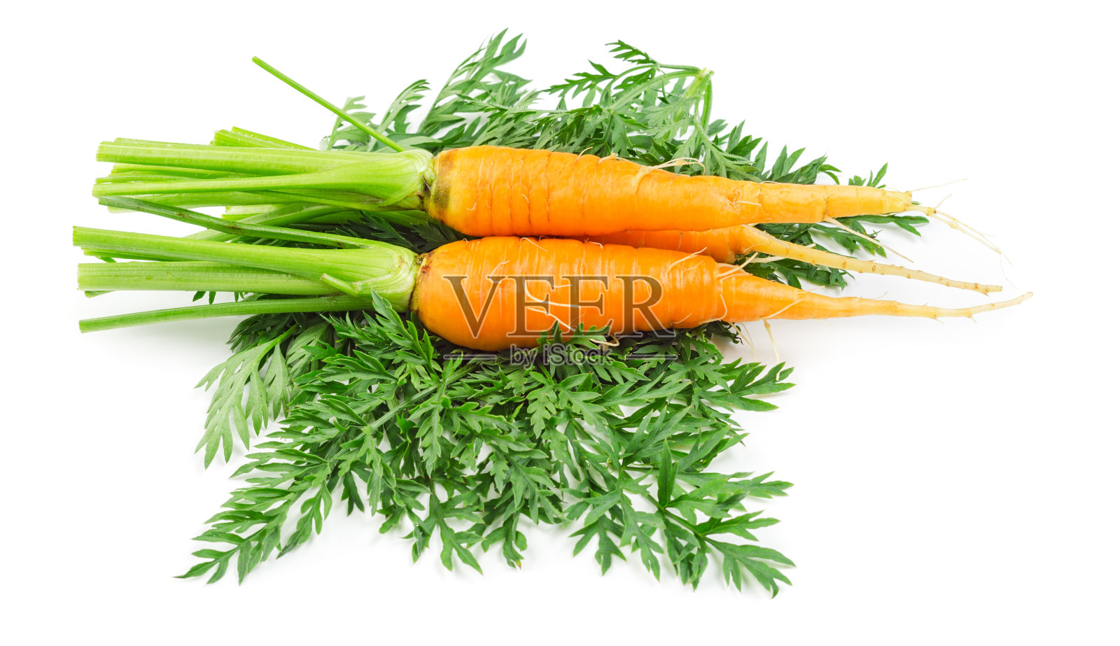 孤立的小胡萝卜照片摄影图片