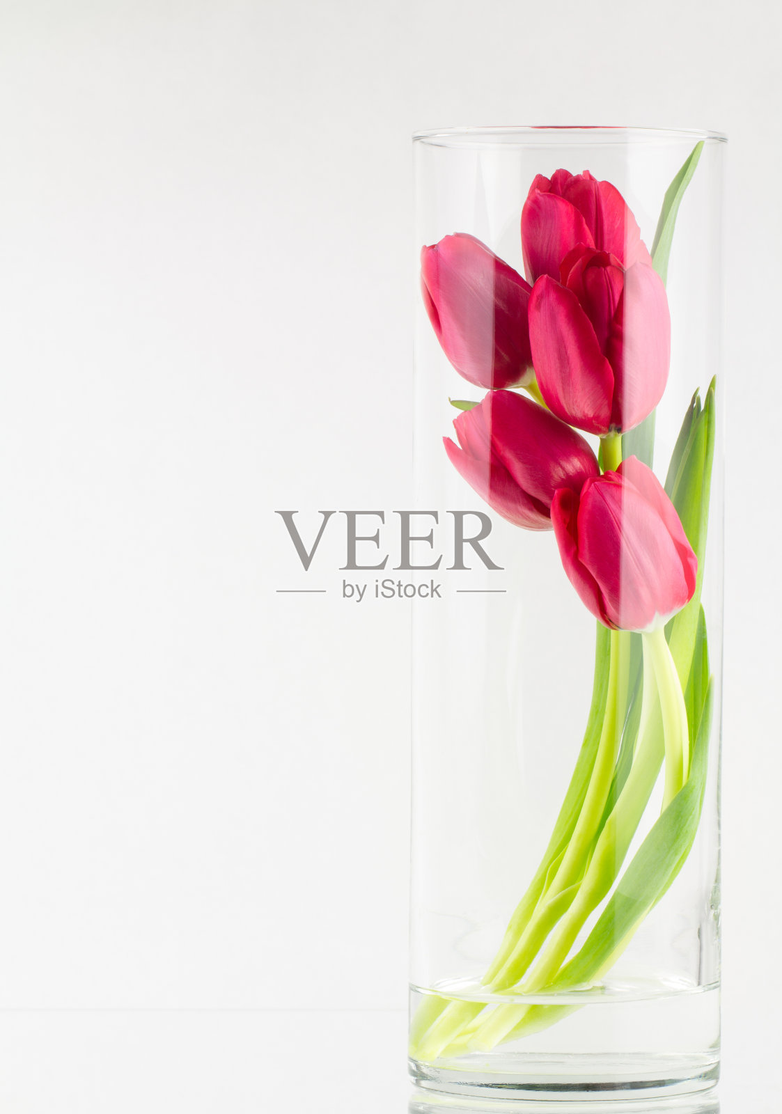 玻璃花瓶里的红色郁金香照片摄影图片