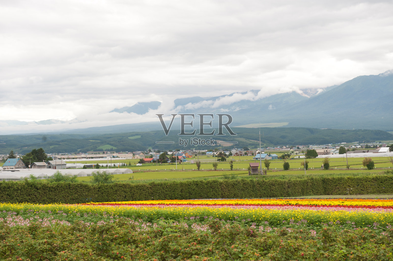 日本的乡村景观照片摄影图片