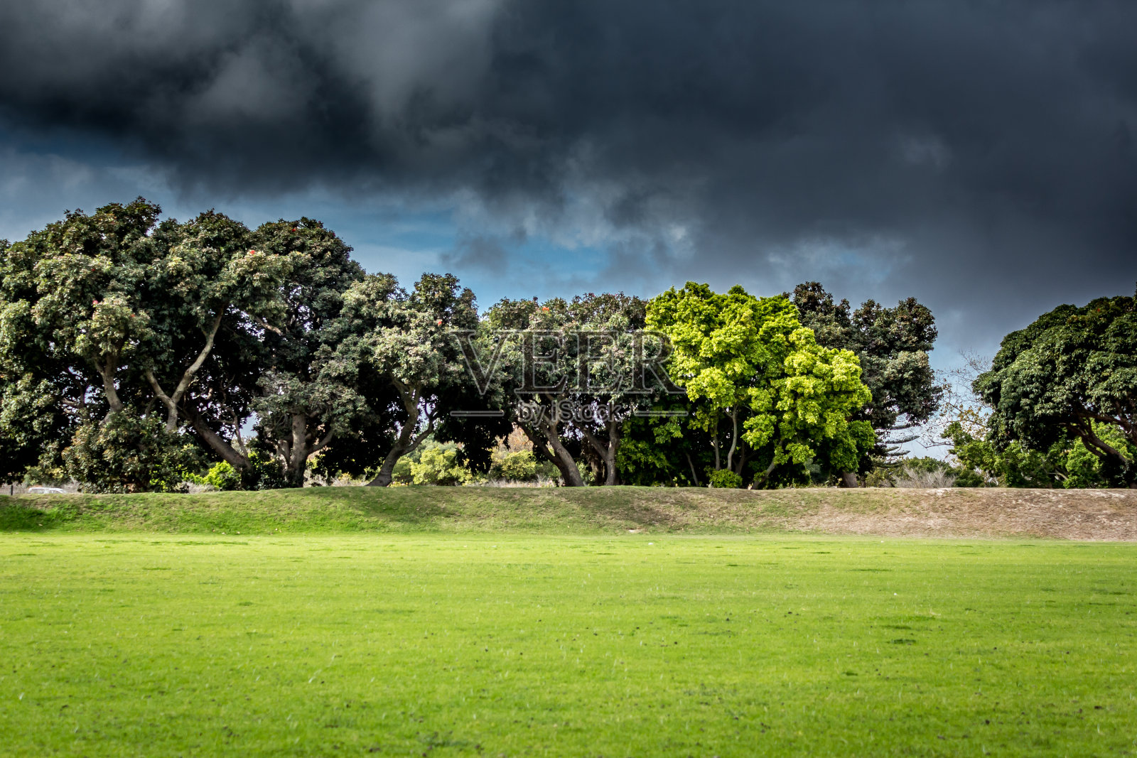 草地和树木在一个板球球场下面的云照片摄影图片