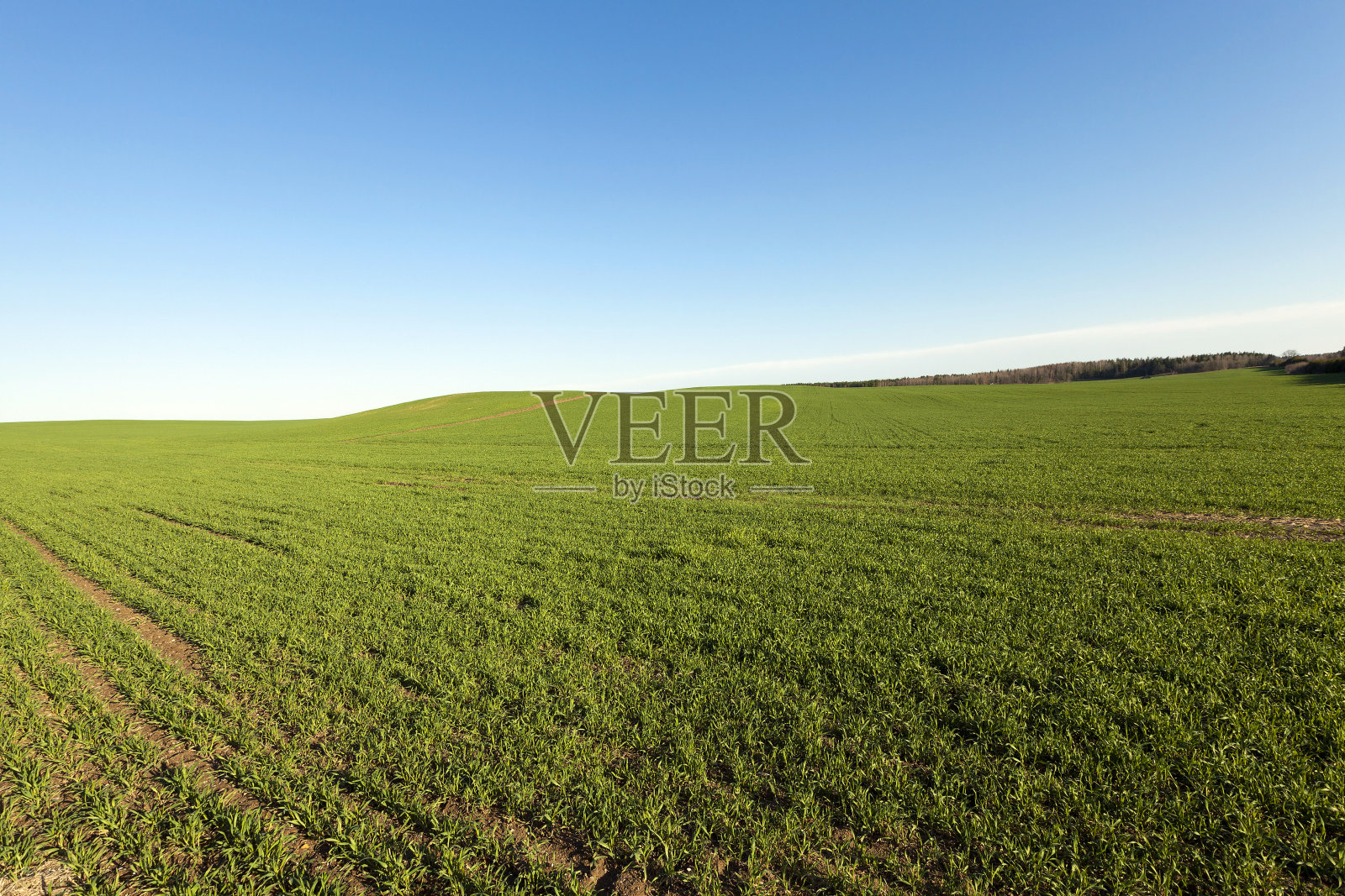 农业领域。春天照片摄影图片