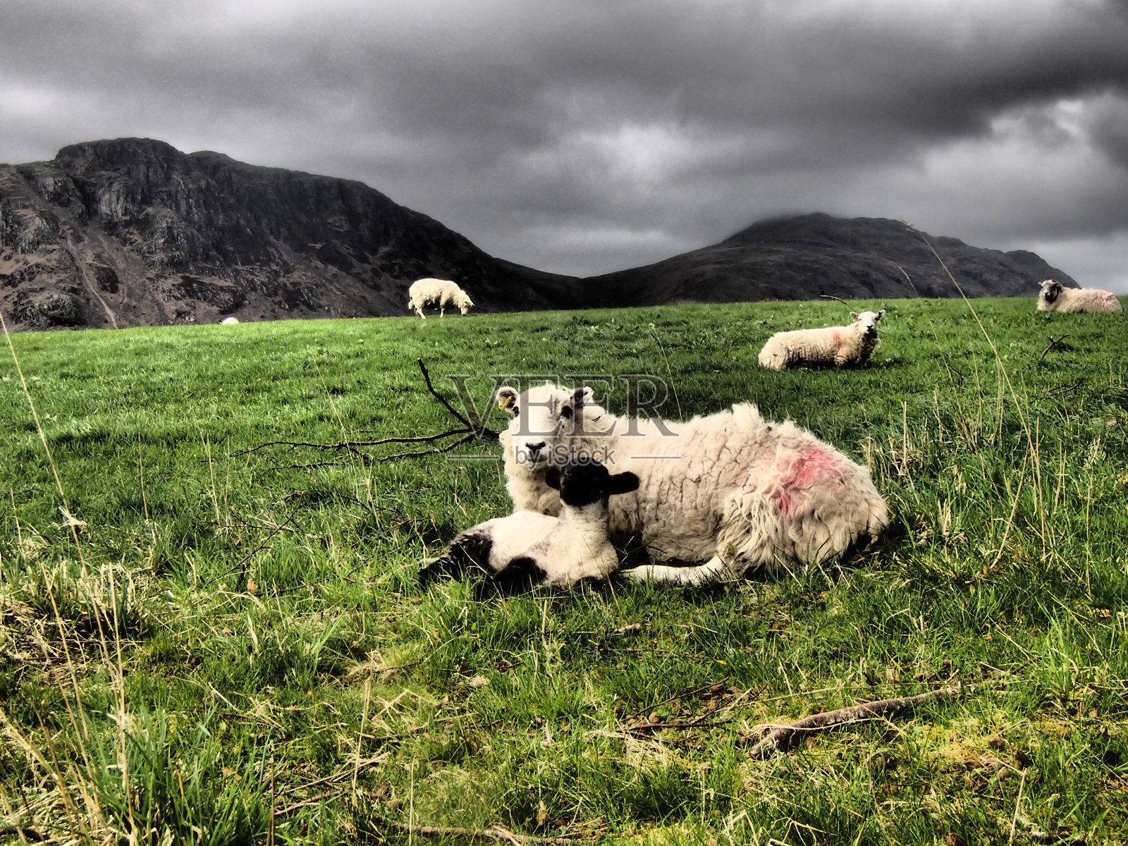 母亲和女儿照片摄影图片