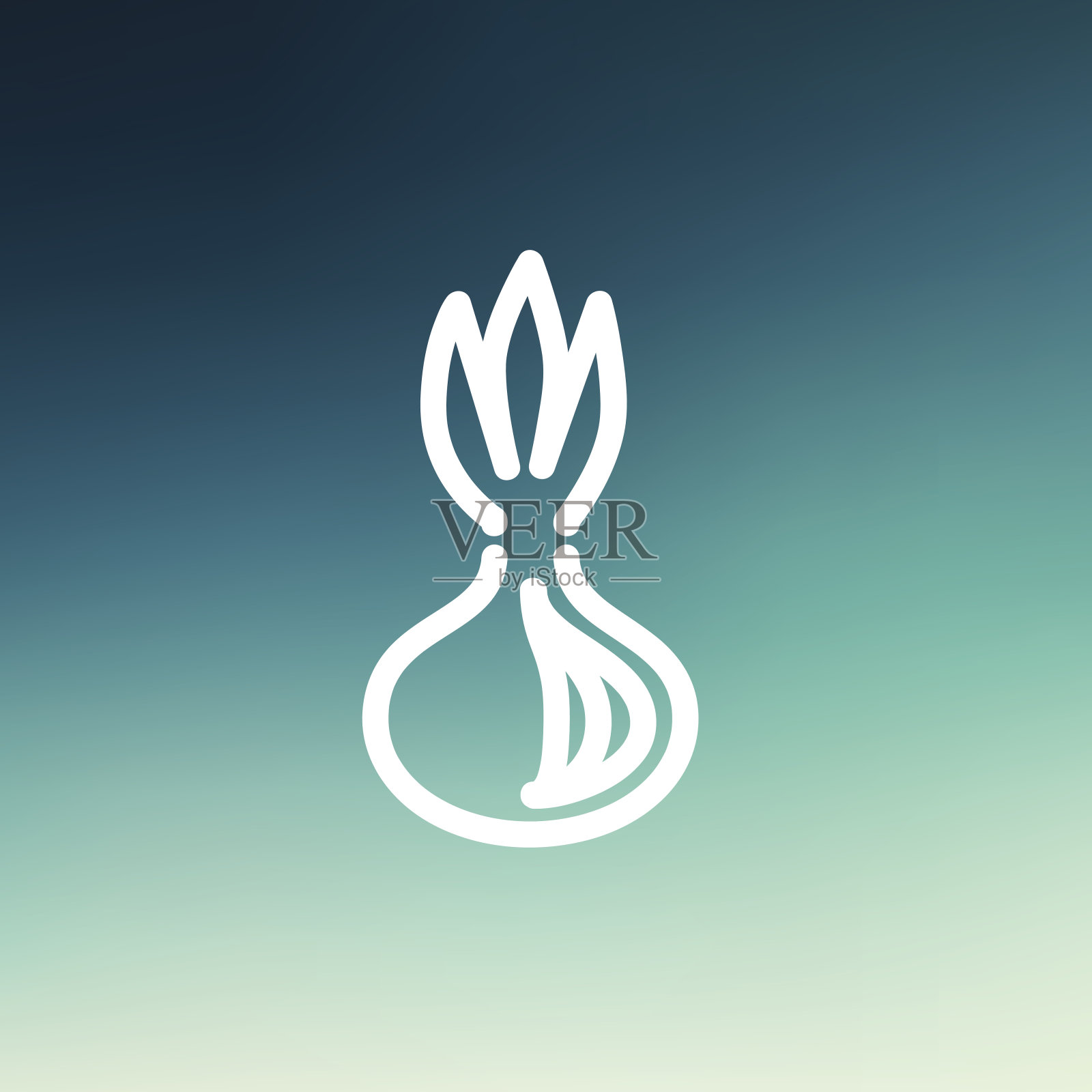 洋葱细线图标图标素材