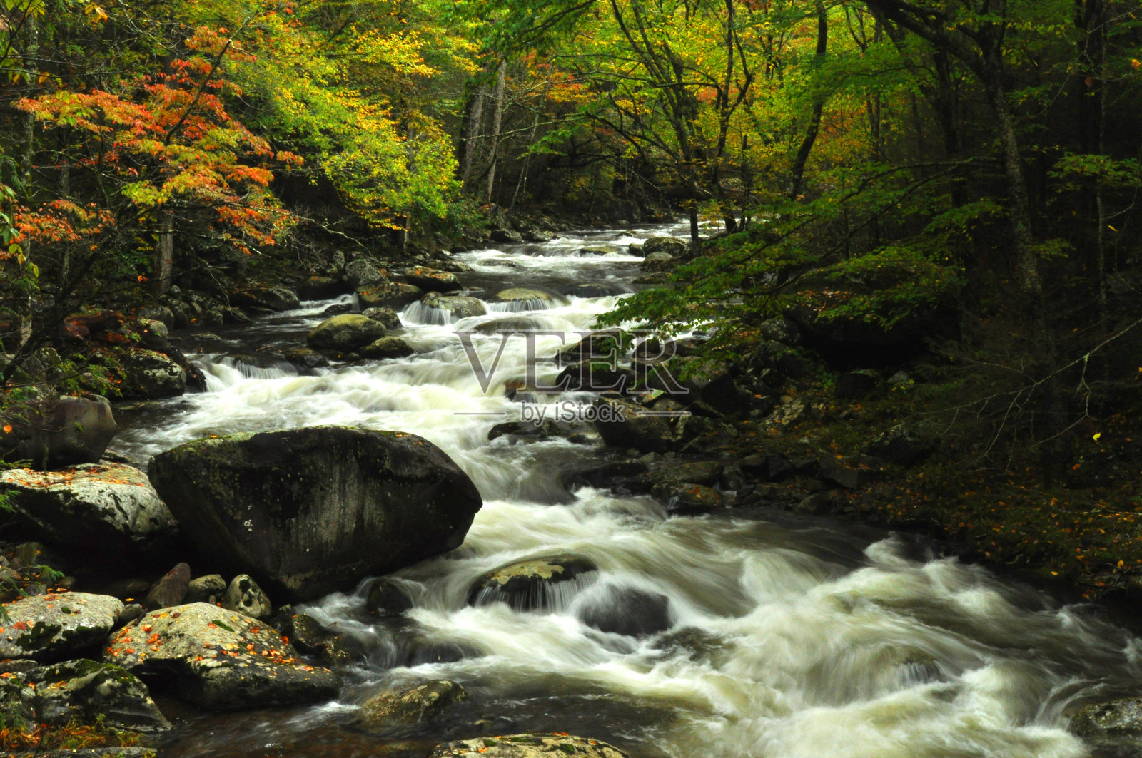白色的水小溪在秋天的颜色。照片摄影图片