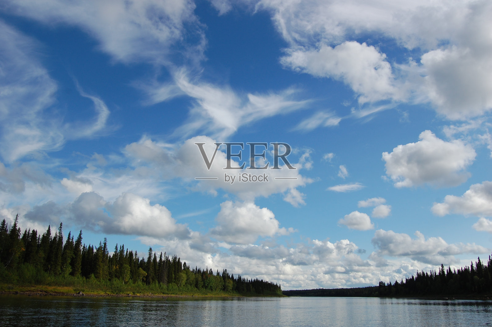 针叶林河上空的云朵。照片摄影图片