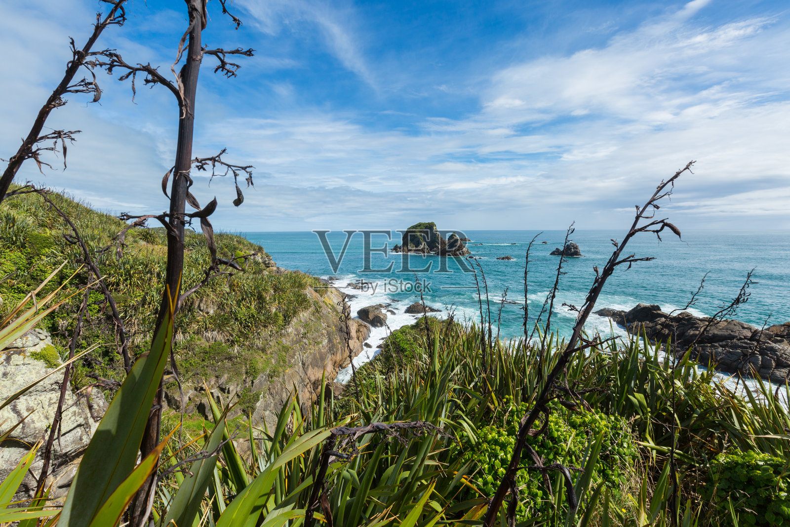 新西兰福尔风角的海岸景色照片摄影图片