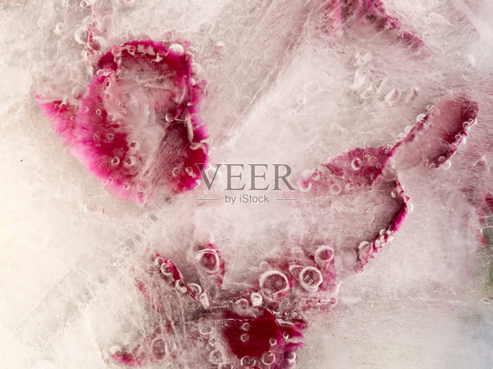 冷冻有机抽象照片摄影图片