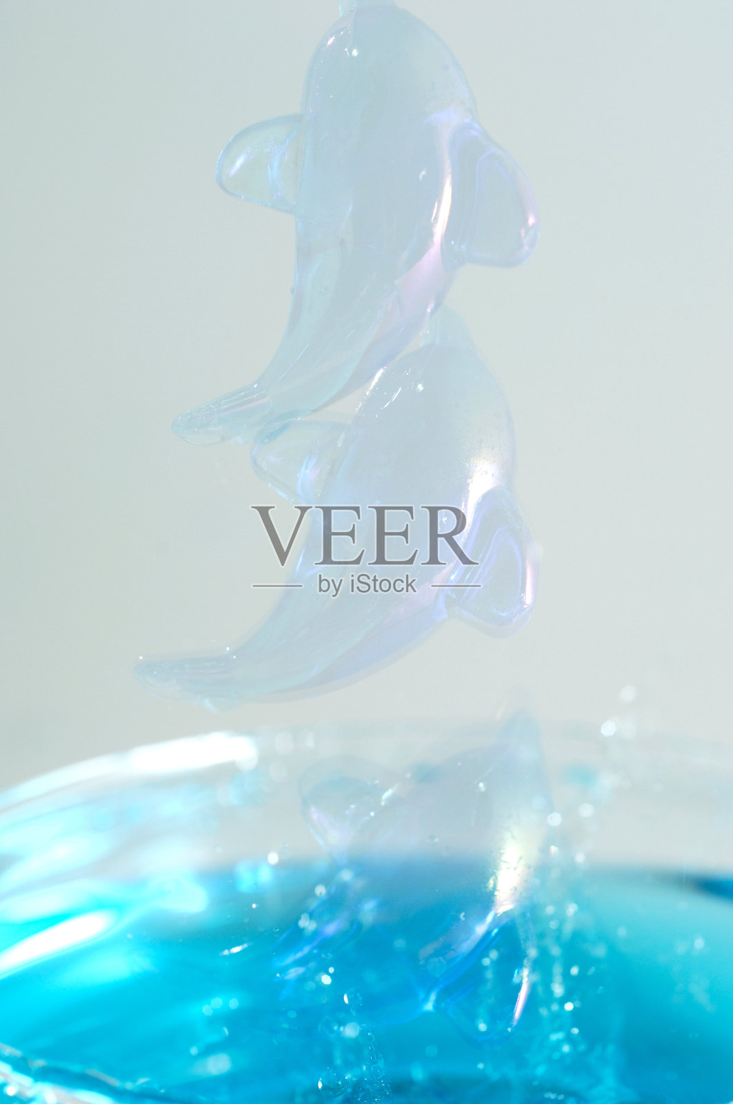 跳出水面的海豚。照片摄影图片