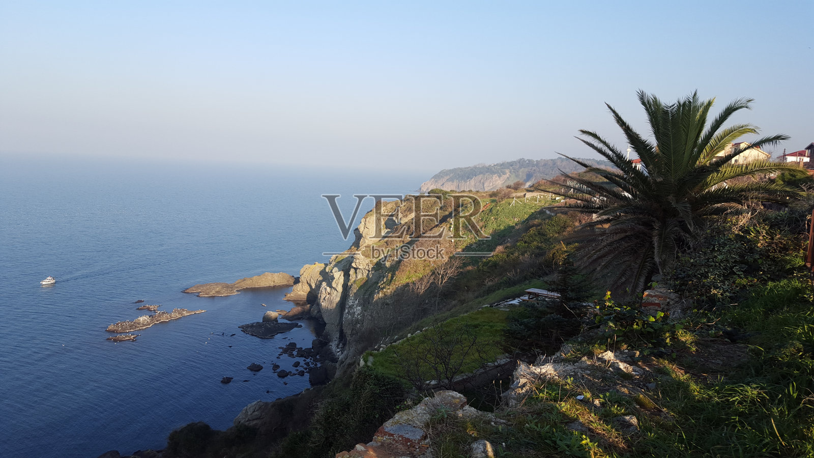 Anadolufeneri,火鸡照片摄影图片