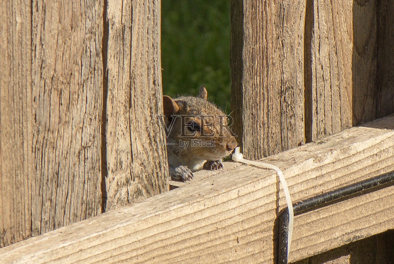 热爱旅行的人照片摄影图片