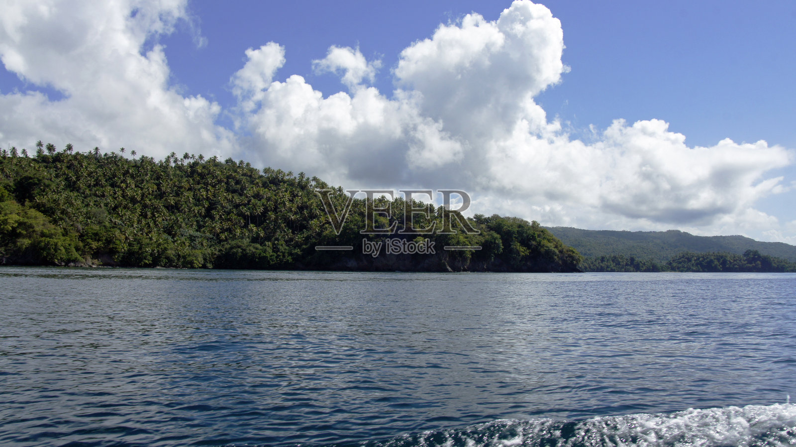 海岸沙门照片摄影图片