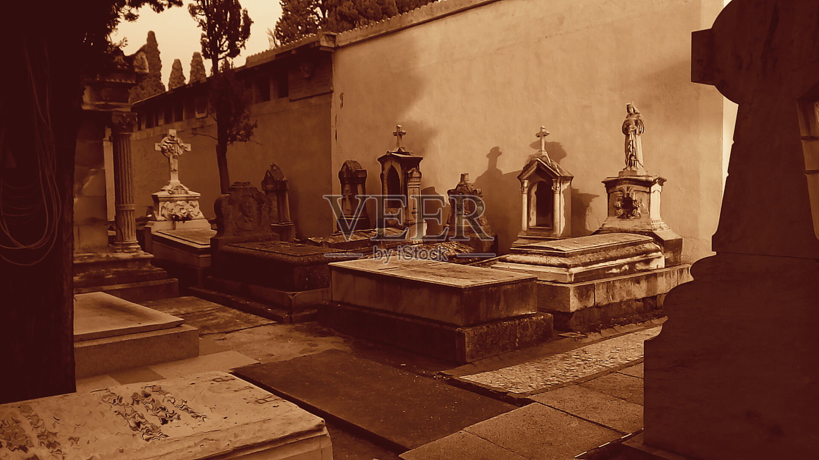 在墓地里理解了永生的真谛照片摄影图片