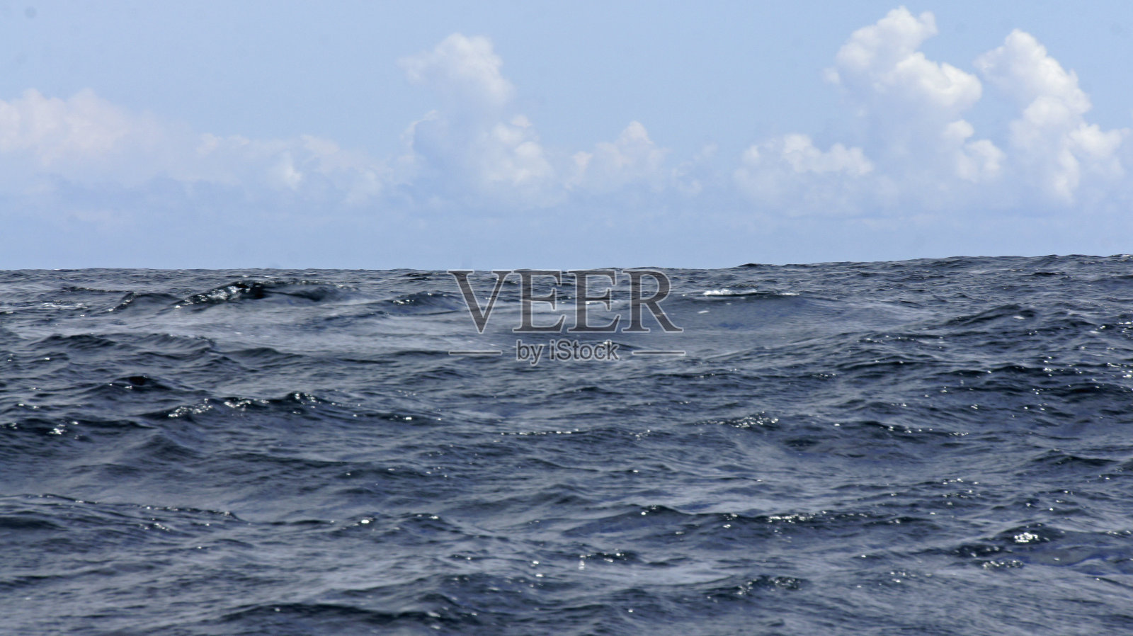 海岸沙门照片摄影图片