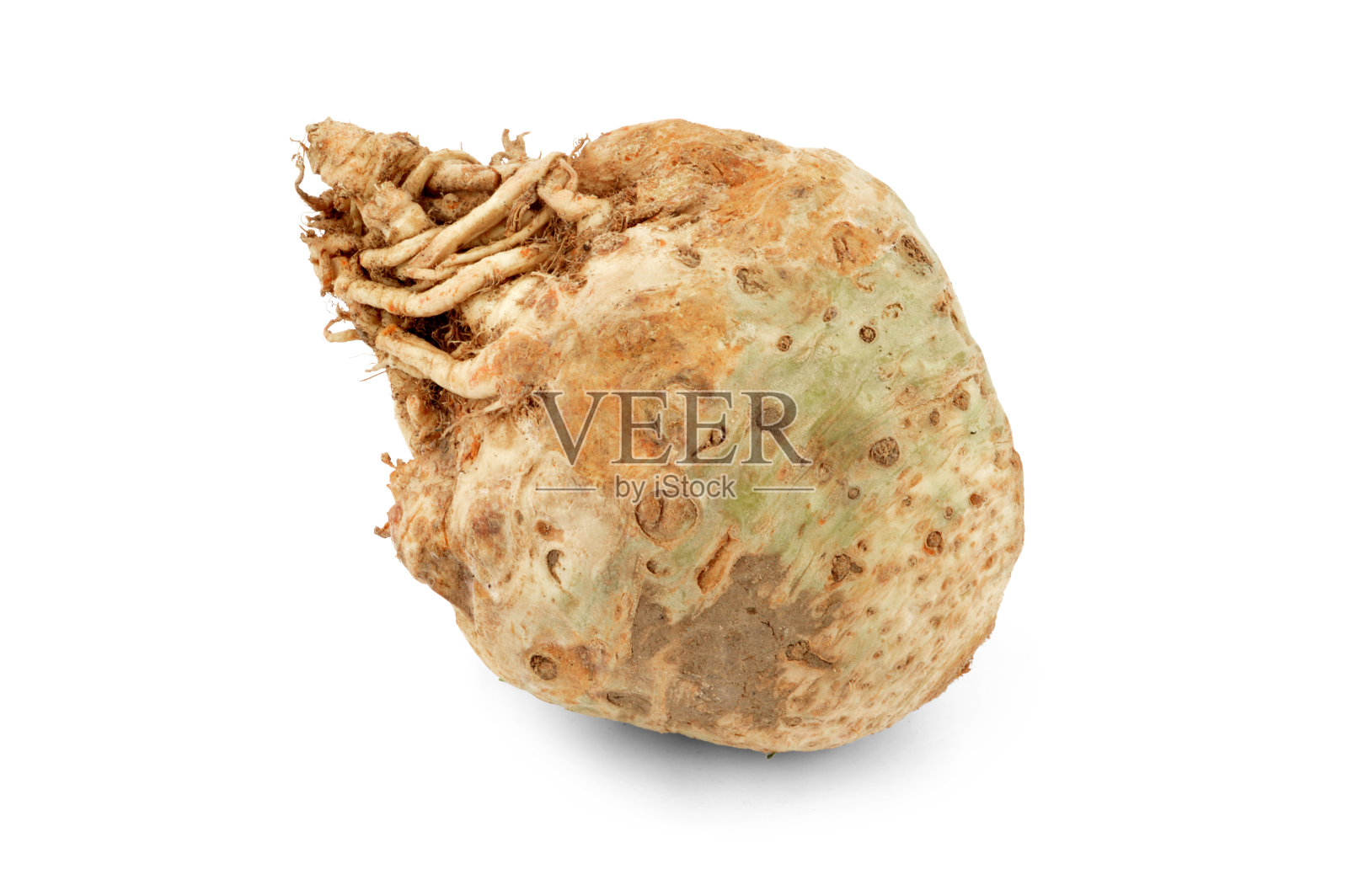 白色画室背景上孤立的块根芹。-股票图片照片摄影图片