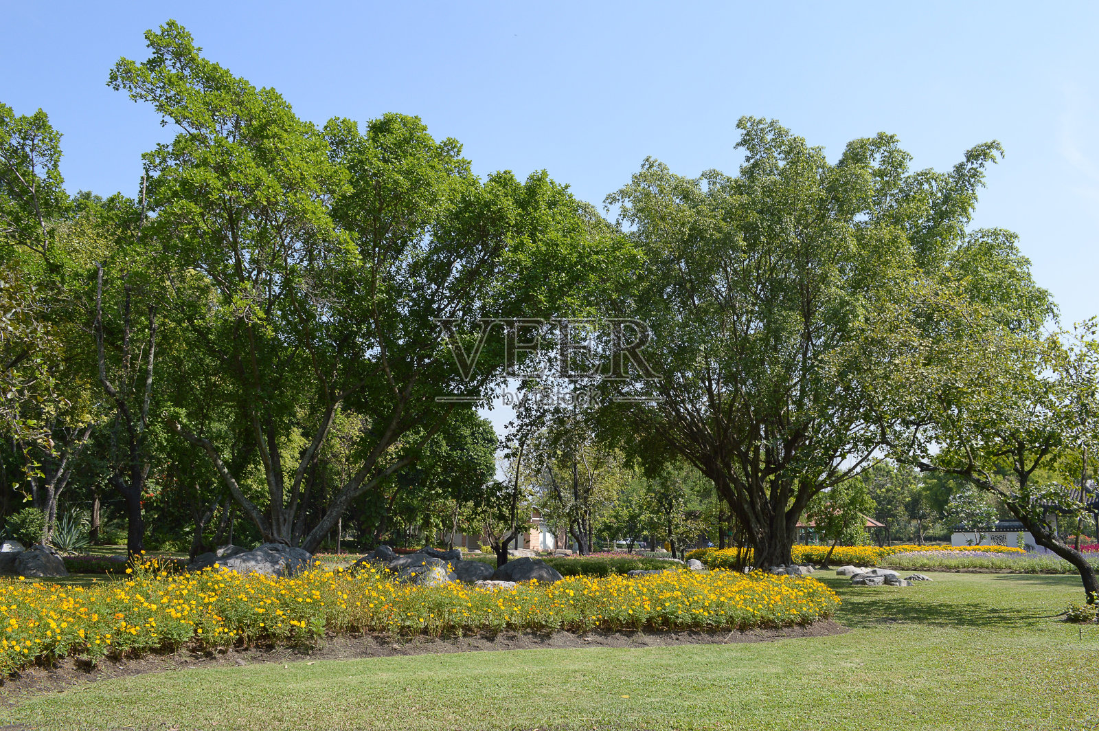 花园照片摄影图片