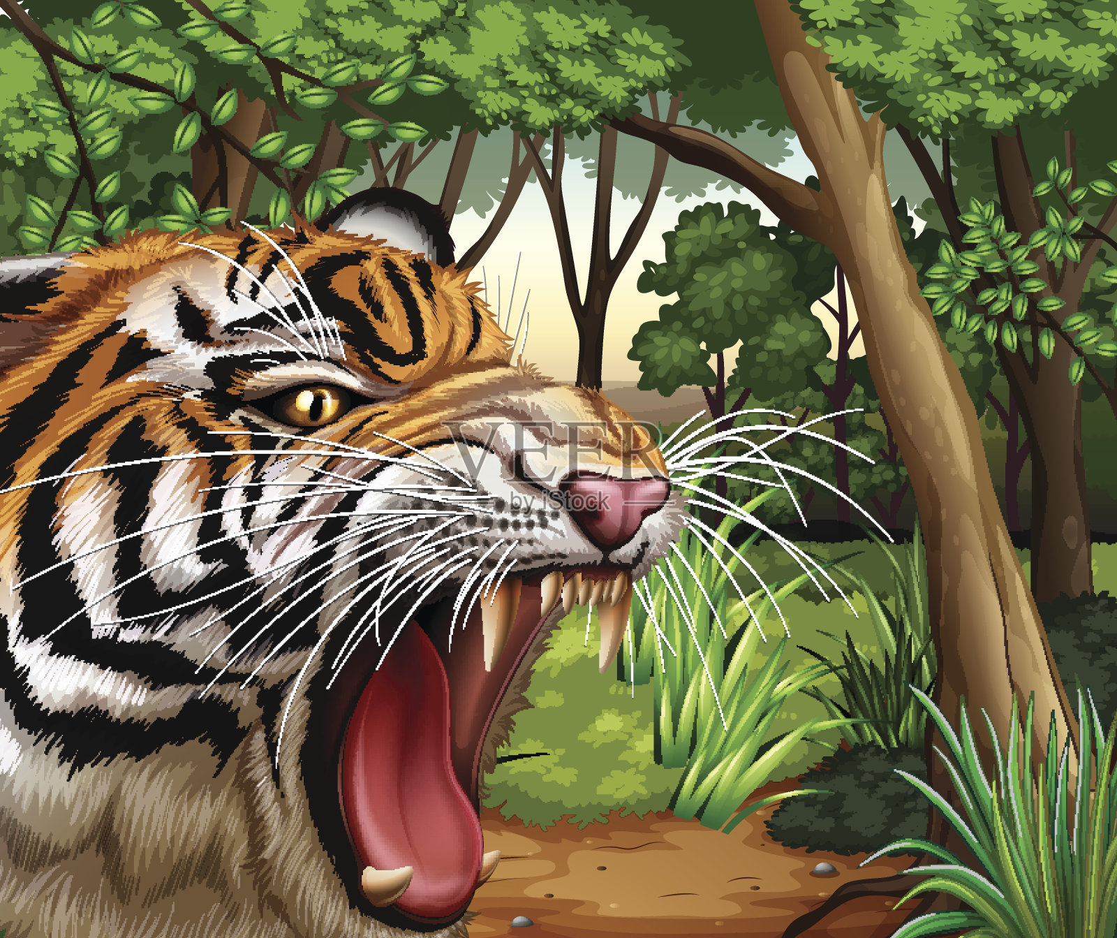 老虎在丛林里咆哮插画图片素材
