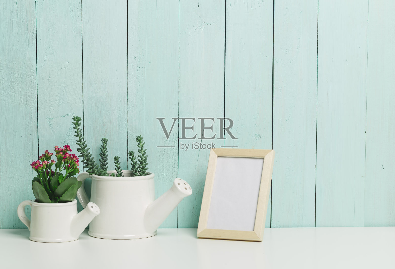 肉质植物收集照片摄影图片