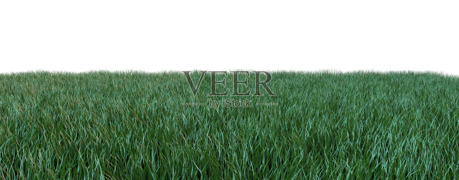 草孤立在白色背景上照片摄影图片