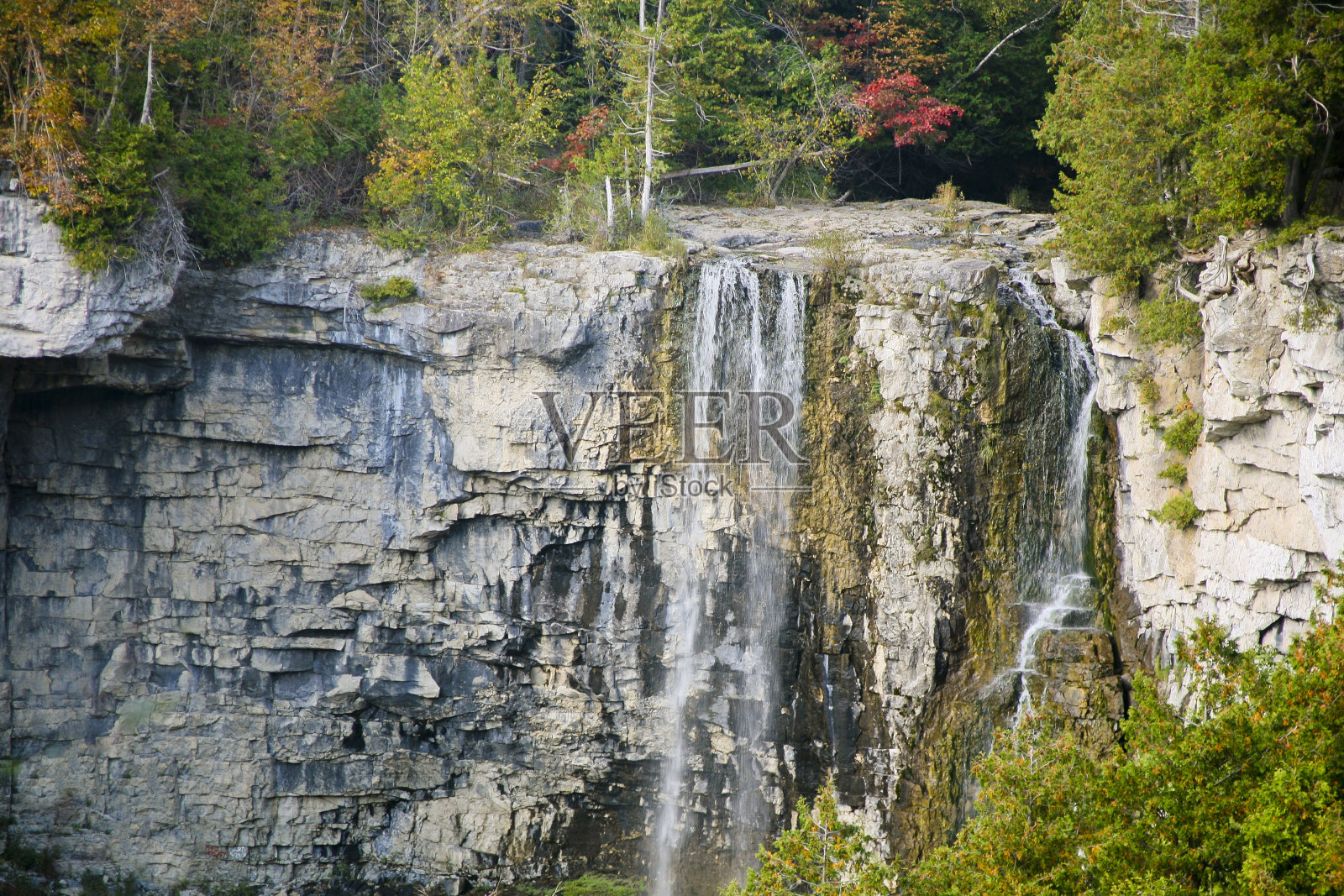 海狸在秋天跌倒照片摄影图片
